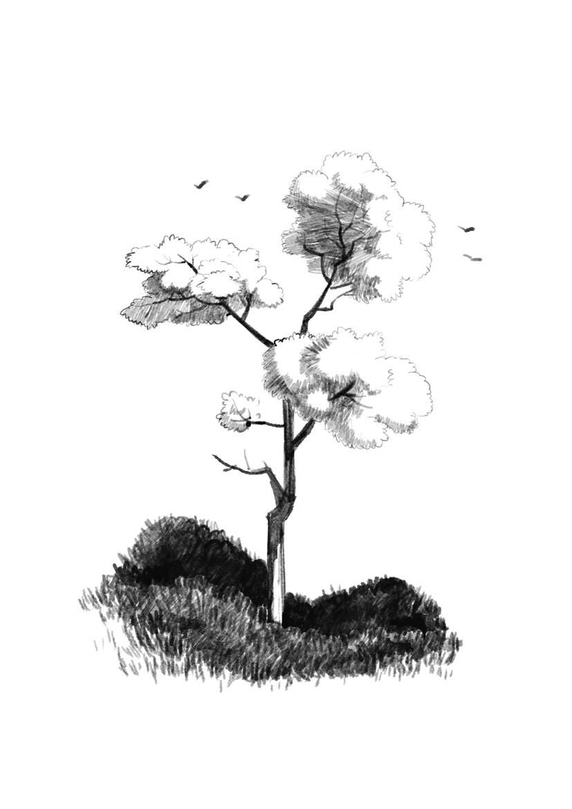 tree sketch by altback